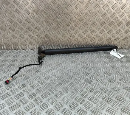 Tailgate/trunk strut/damper