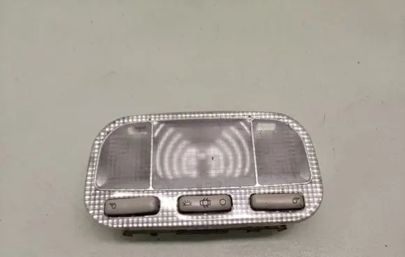 Citroen C5 Rear seat light