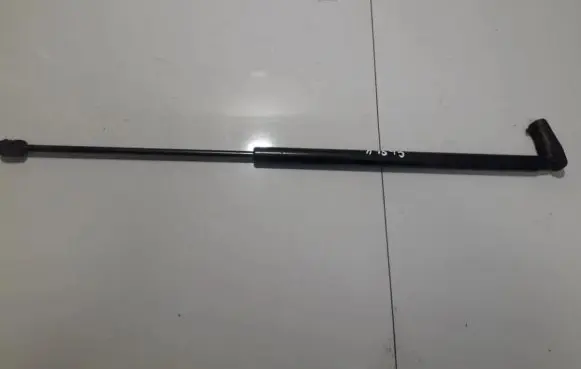 Tailgate/trunk strut/damper