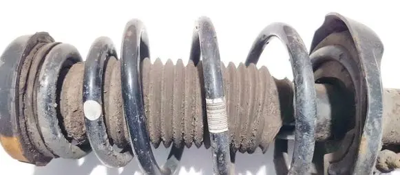 Opel Insignia A Front coil spring aahb
