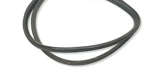 BMW X3 F25 Front door rubber seal 731125804