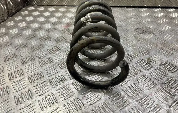 Opel Insignia A Rear coil spring 