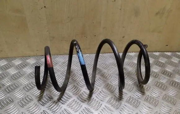 Front coil spring