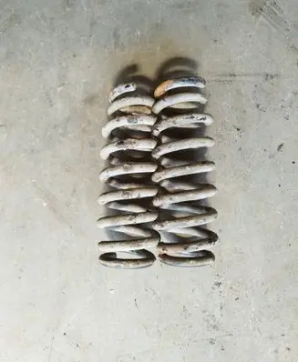 Rear coil spring