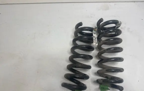 Dodge Challenger Rear coil spring 1369AF 25591F