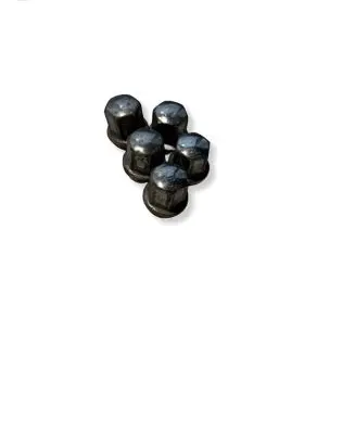 Dodge RAM 1500 DS Nuts/bolts 