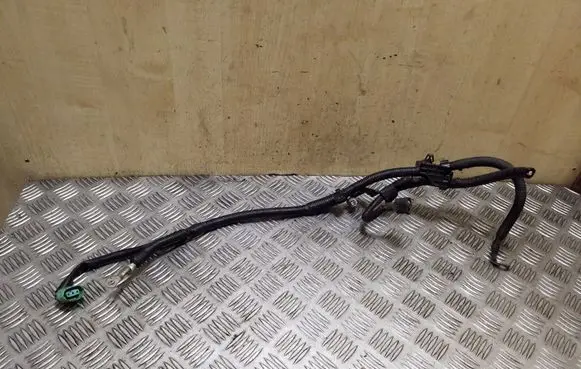 Subaru Outback Wires (generator/alternator) 