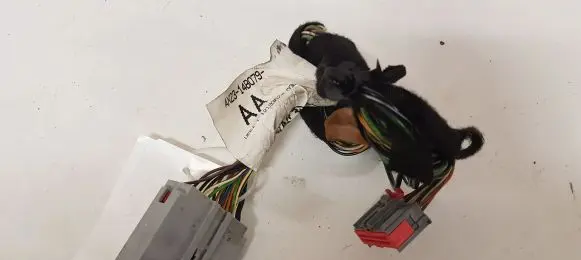 Other wiring loom