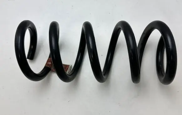 Ford Mustang VI Rear coil spring Q48PA