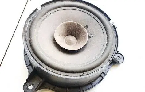 Renault Zoe Front door speaker