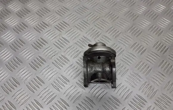 Volkswagen Fox EGR valve