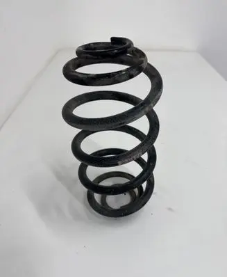 Rear coil spring