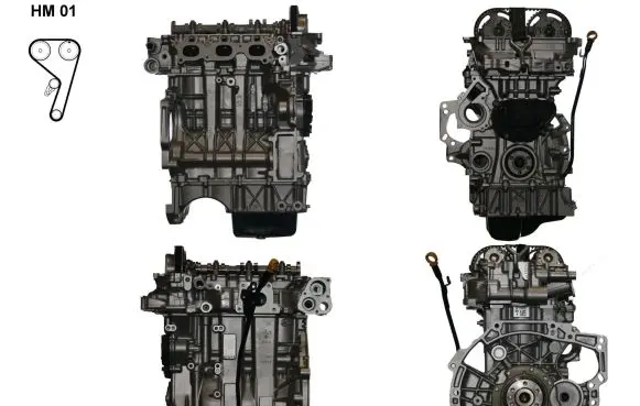 Citroen C3 Engine HM01
