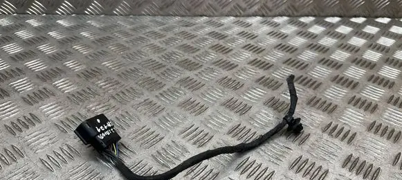 Ford Kuga III Other wiring loom