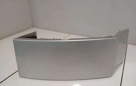 Rear/tail light trim molding