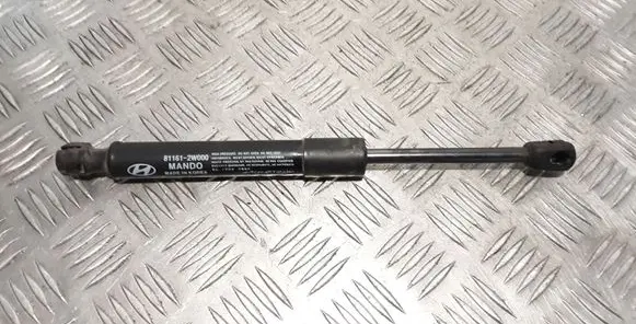 Hyundai Santa Fe Front bonnet/hood damper/strut 811612W000