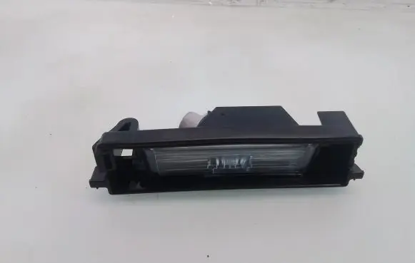 Toyota RAV 4 (XA40) Number plate light 02256