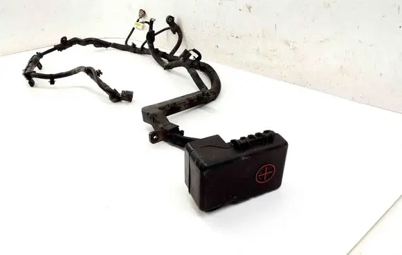 Positive wiring loom