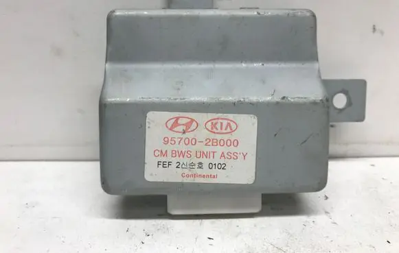 Hyundai Santa Fe Parking PDC control unit/module 957002B000
