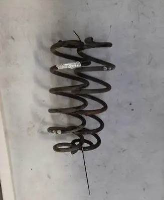 Rear coil spring