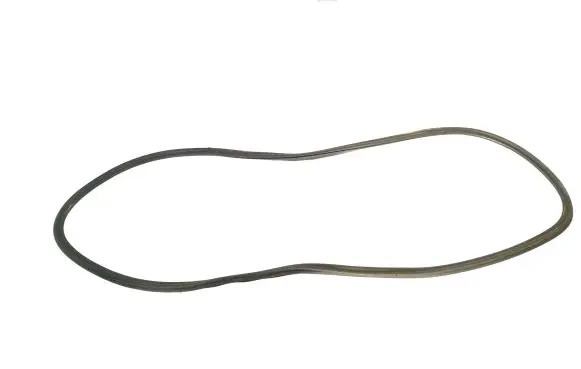 Audi A8 S8 D4 4H Front door rubber seal 4H0831721F