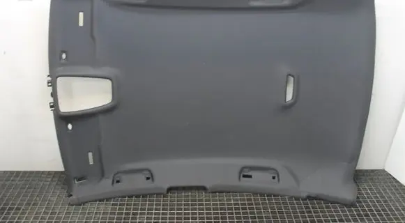 Audi A6 S6 C8 4K Headlining 4K5867505B