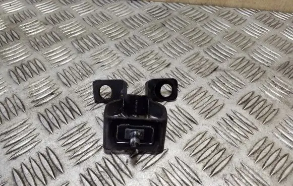 Tailgate/trunk/boot hinge