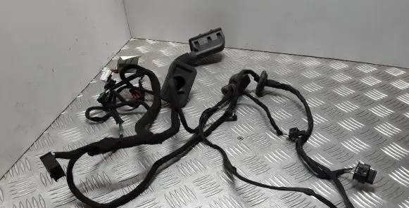 Mercedes-Benz GLE (W166 - C292) Front door wiring loom A0009824509