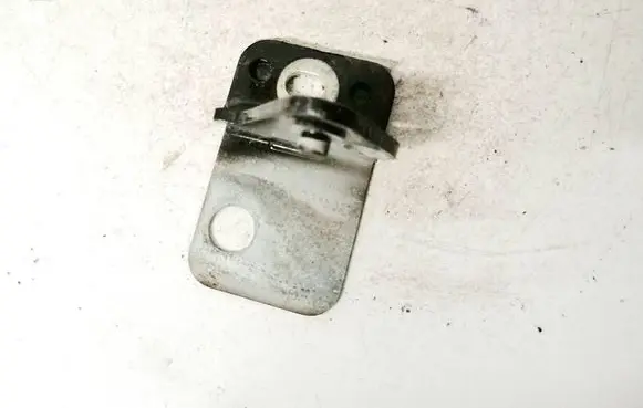 Rear door lower hinge