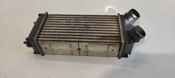 Citroen C4 I Intercooler radiator 9648551880 876923J