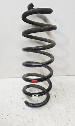Nissan Qashqai Rear coil spring 550204EA1B