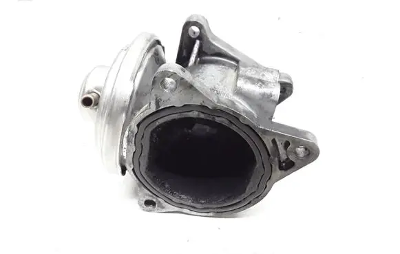 EGR valve