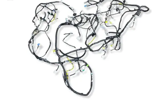 Toyota bZ4X Wiring harness 821614B261