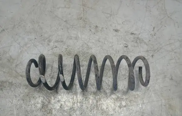 Rear coil spring
