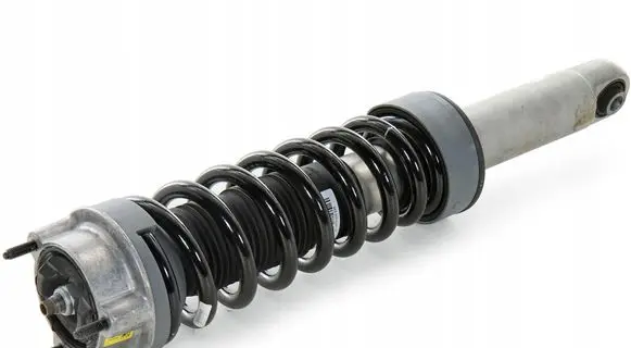 Mercedes-Benz AMG GT R190 C190 Rear shock absorber/damper A1903205900