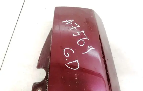 Rear/tail light trim molding