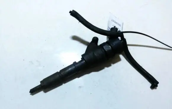 Citroen Xsara Picasso Fuel injector 0445110062 9640088780