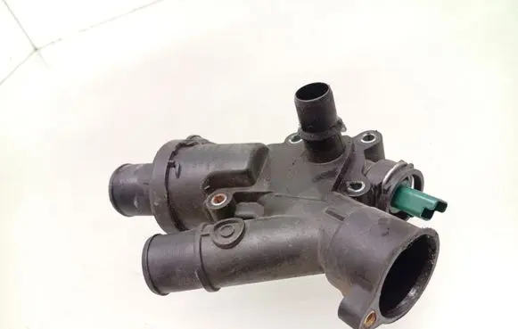 Thermostat/thermostat housing