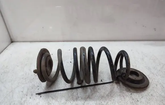 Rear coil spring