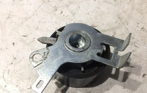 Peugeot 406 Generator/alternator belt tensioner 20110712