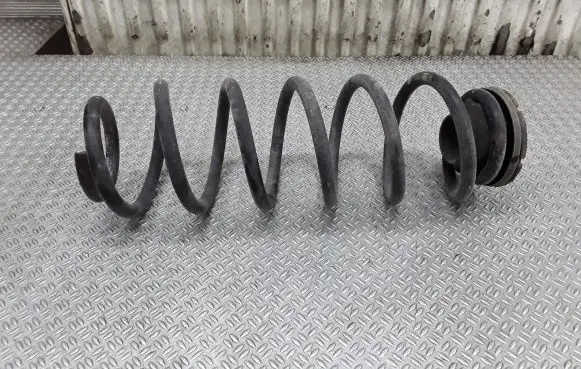 Rear coil spring