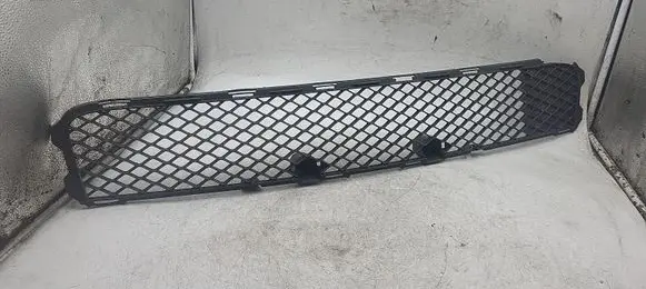 Mitsubishi Lancer X Front bumper lower grill 
