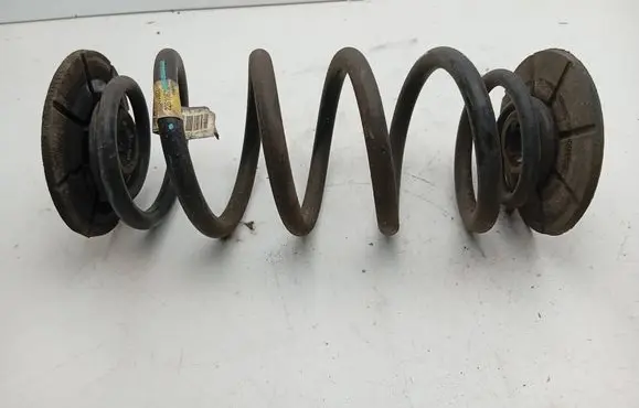 Opel Ampera Rear coil spring 22810673