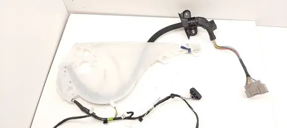 Rear door wiring loom