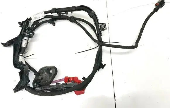 Ford Puma Other wiring loom
