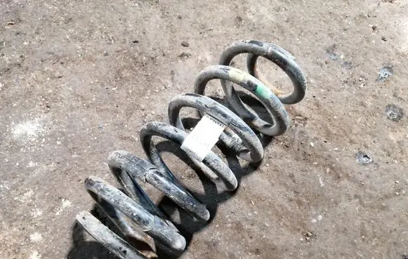 Rear coil spring