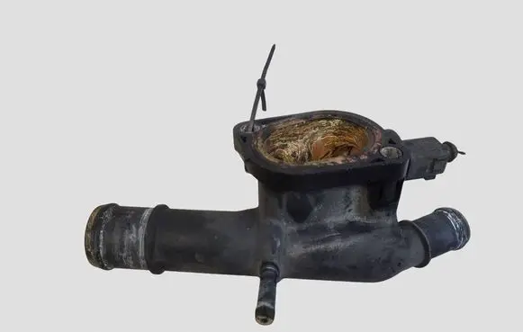 Volkswagen PASSAT B6 Thermostat/thermostat housing 03L121132