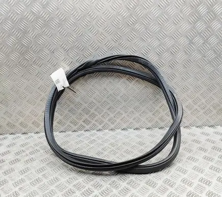 Volvo C40 Rubber seal rear door 32274525