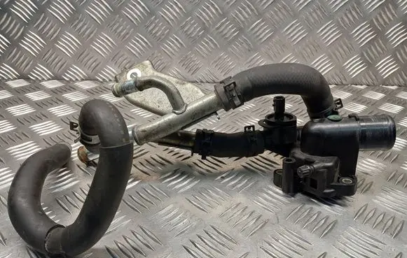 Nissan X-Trail T31 Thermostat/thermostat housing 8200801570