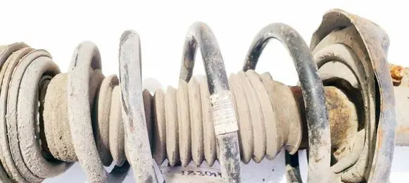 Front coil spring